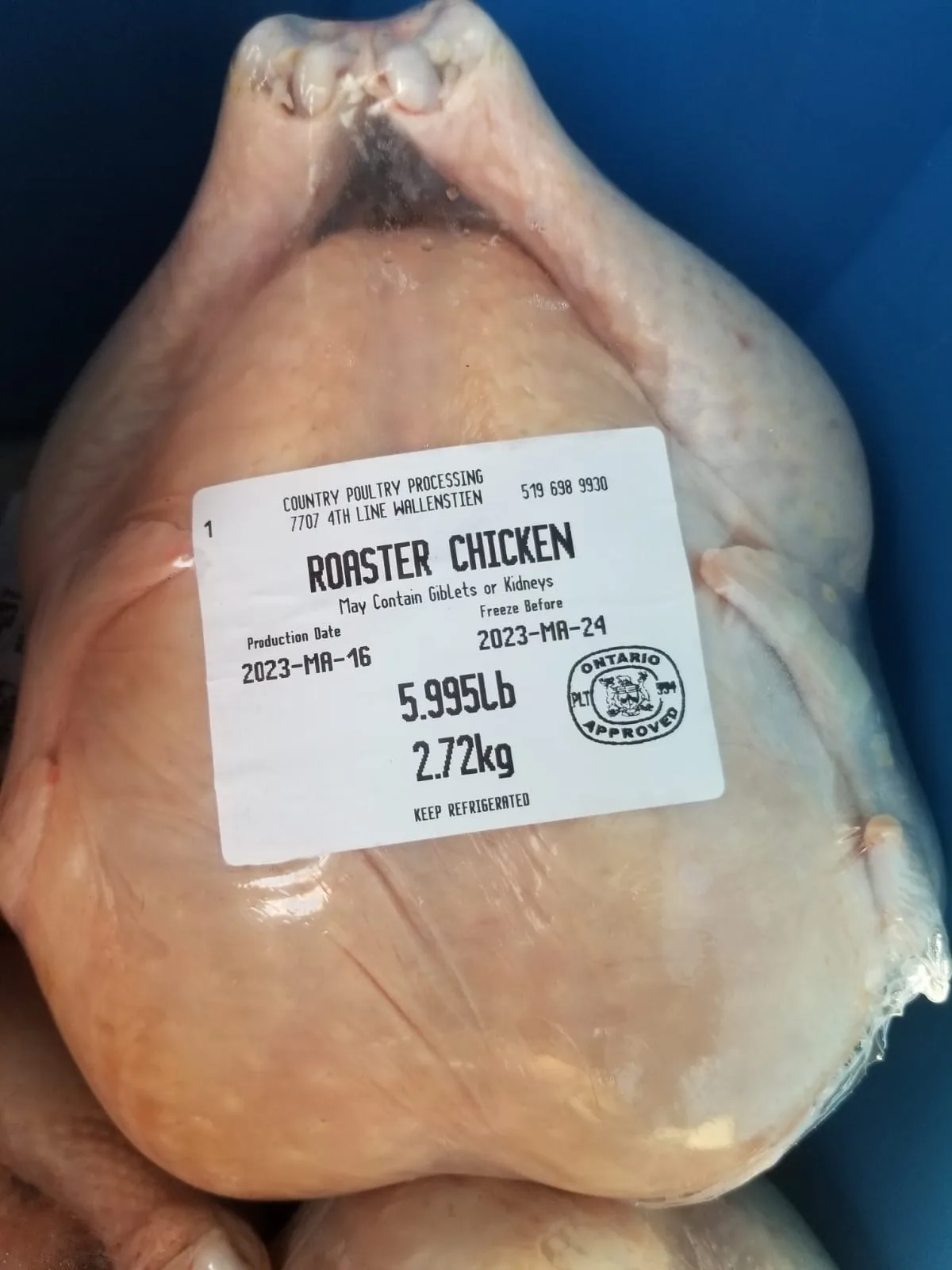 fresh whole and split chicken